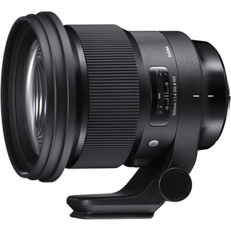 لرزش لنز سونی | لرزش دست روی گیمبال در Sony FE 16-35mm f/4 ZA OSS
