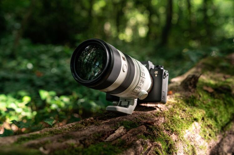 تعمیر ویوفایندر سونی آلفا | خرابی های الکترونیکی در صفحه نمایش (LCD) و ویوفایندر الکترونیک (EVF)