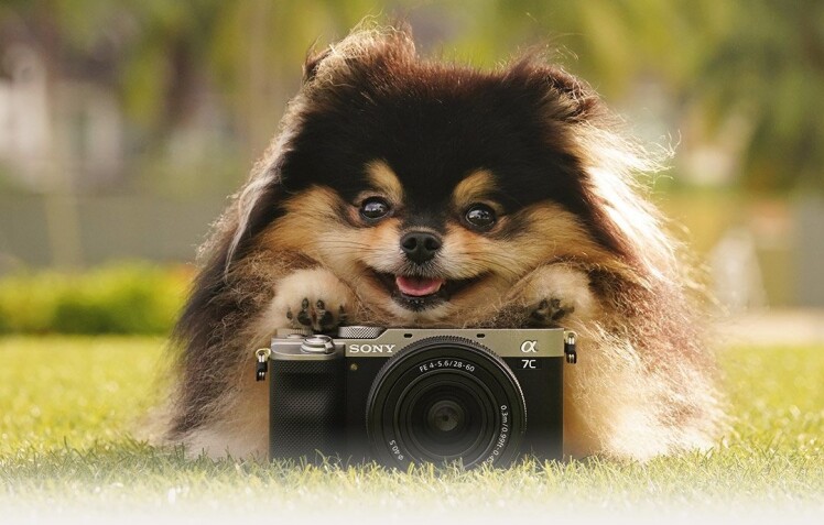 مشکلات نویز | یا خطوط عمودی (Banding) در سنسور یا زمان نوردهی بالا